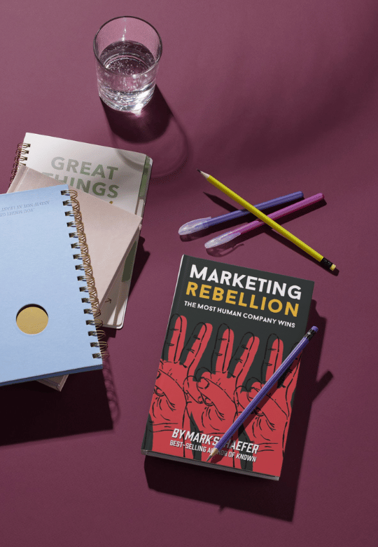 Marketing Rebellion: A Guide for Modern Indian Brands