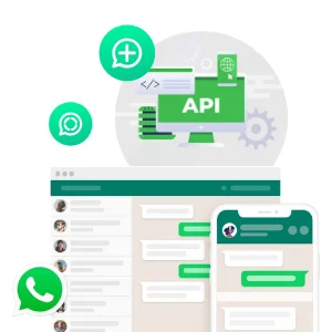 WhatsApp Authentication and Setup