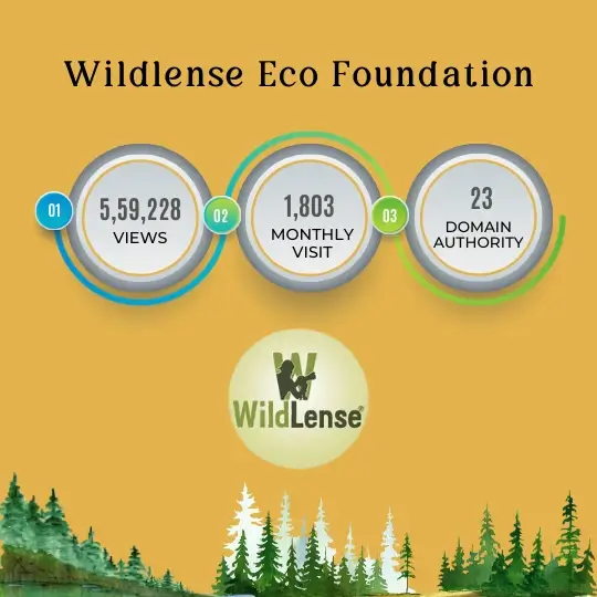 Wildlense Eco Foundation Success Story